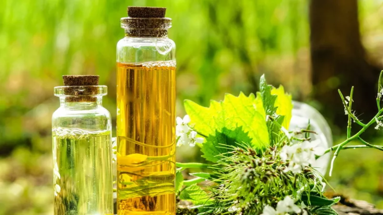 Leading Herbal Extracts Manufacturers in India for Quality and Purity